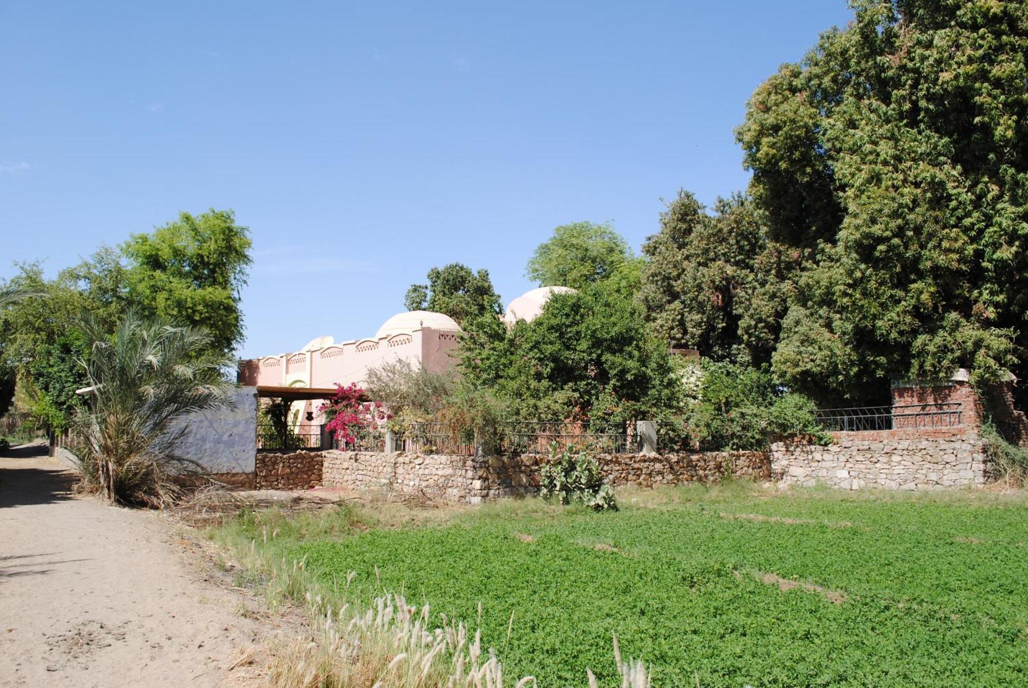 Nubian Holiday House Assuan Exterior foto